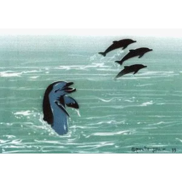 Airbrush Schablone Schritt für Schritt Delfine
