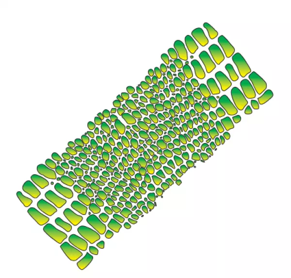 Airbrush Schablone Schlangenhaut A4
